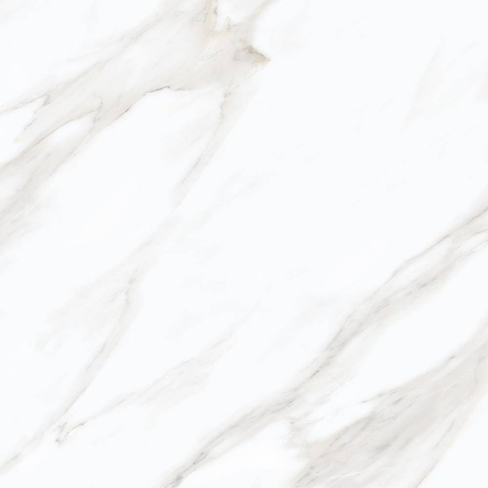 Calacatta Avola Matt