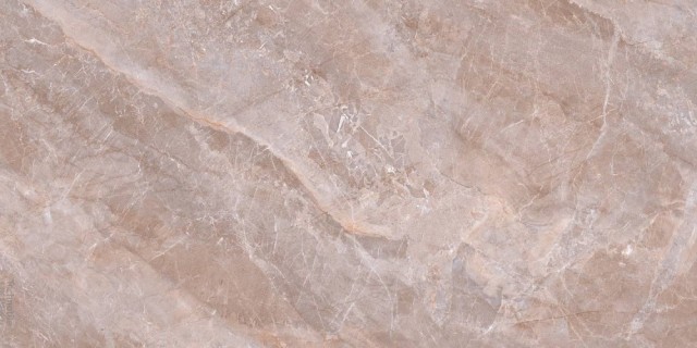 Butterfly  ZA-B12639 PR